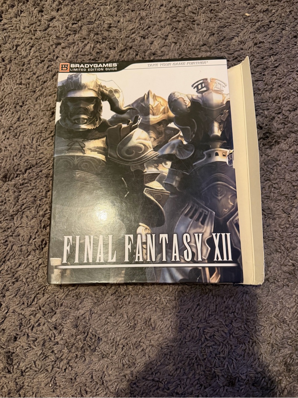 Final Fantasy XII Limited Edition Guide - Black